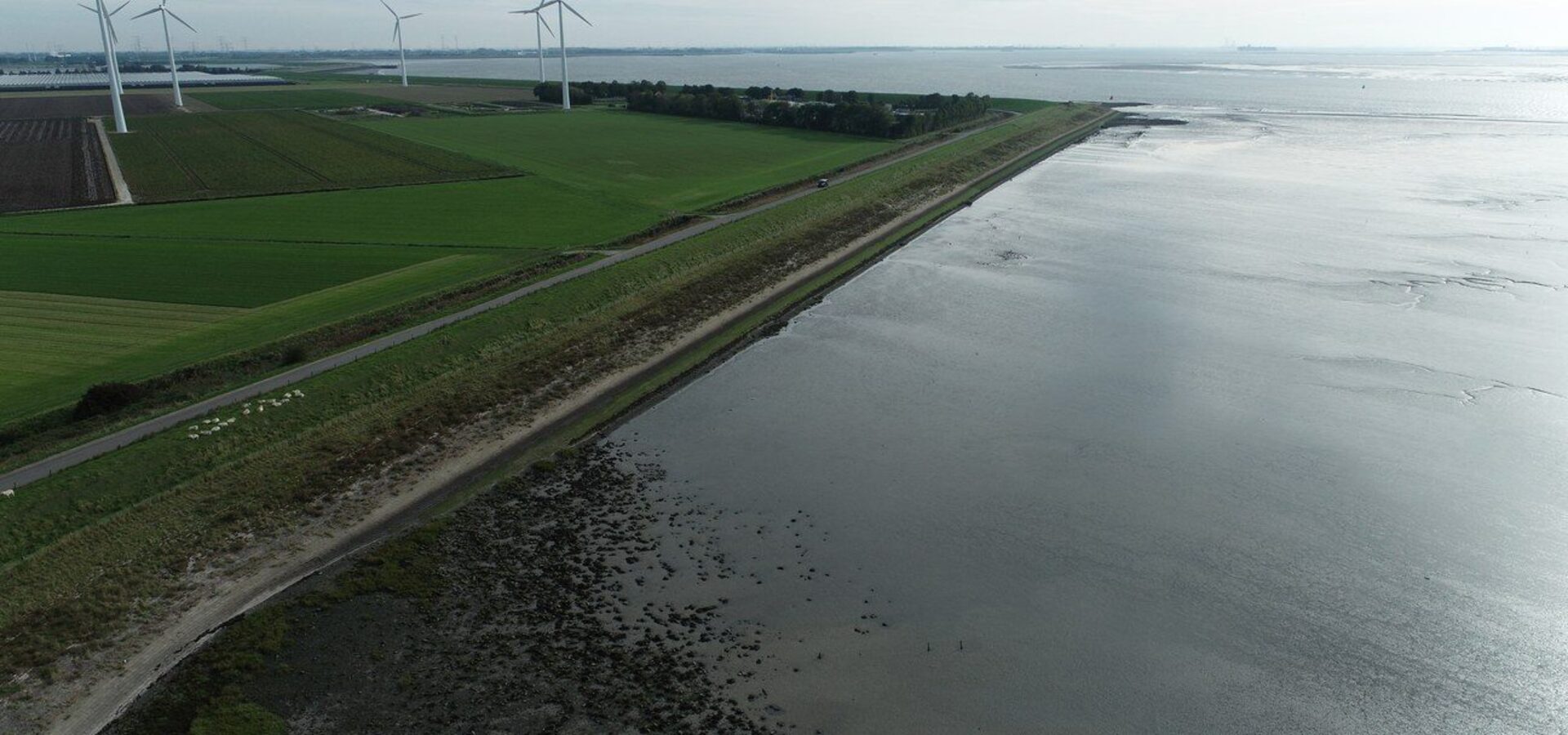 69240f2547f5c_w648547f5e_dji0060