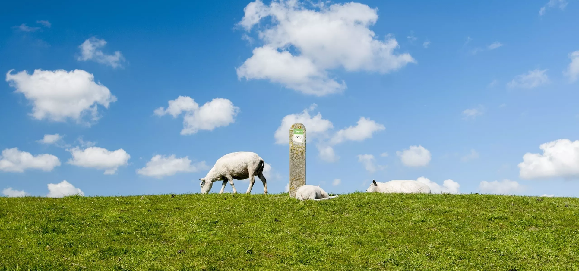 ZakvanZuidBeveland